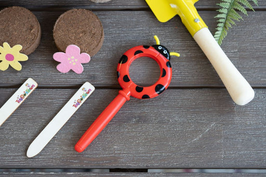 Spotlight on Fun: More Ways to Play with Our Toddler Gardening Kit’s Ladybug Magnifying Glass! 🌸 🔍 🐞