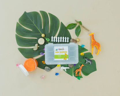 Wild Wonders Mini Sensory Kit, Safari Animals Sensory Play, Cognitive Development and Fine Motor Skills, Tactile Activities for On The Go, Safari Animals Sensory Toys for Preschoolers and Kids Ages 4, 5, 6, 7, 8