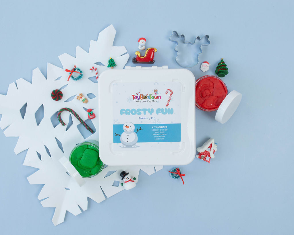 Frosty Fun Sensory Kit Christmas Sensory Play, Cognitive Development and Fine Motor Skills, Tactile Activities for On The Go, Sensory Toys for Preschoolers and Kids Ages 4, 5, 6, 7, 8