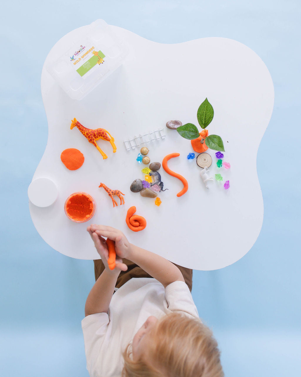 Wild Wonders Mini Sensory Kit, Safari Animals Sensory Play, Cognitive Development and Fine Motor Skills, Tactile Activities for On The Go, Safari Animals Sensory Toys for Preschoolers and Kids Ages 4, 5, 6, 7, 8