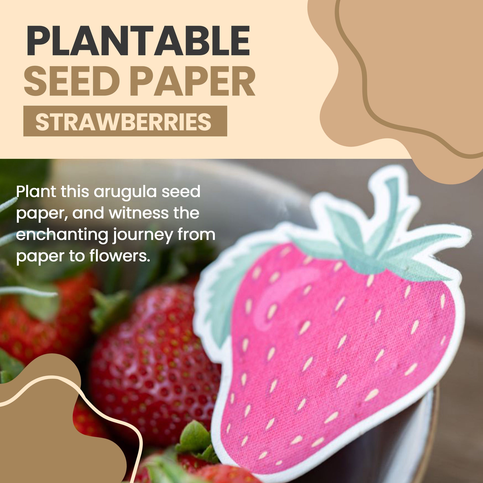 strawberry seeds wholesale Strawberry Plantable Seed Paper – ToyBoxTown