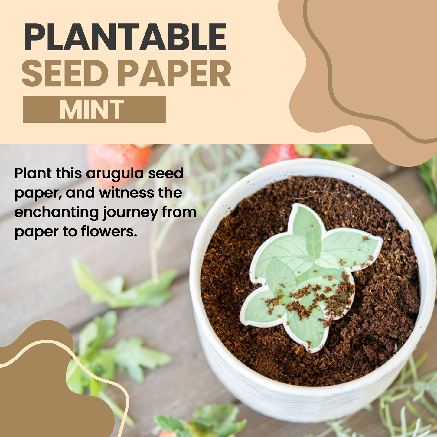 Mint Plantable Seed Paper