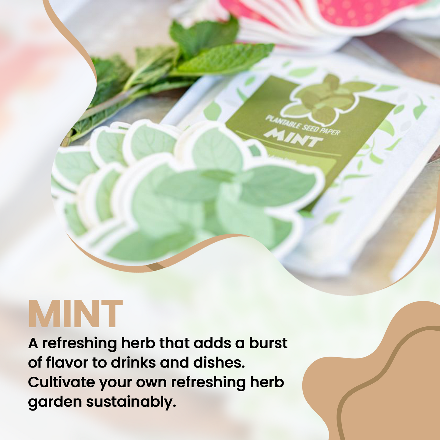 Mint Plantable Seed Paper