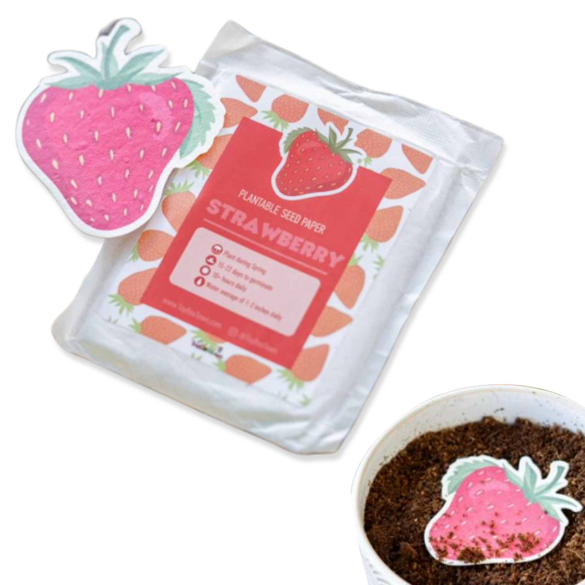 strawberry seeds paper towel Strawberry Plantable Seed Paper – ToyBoxTown