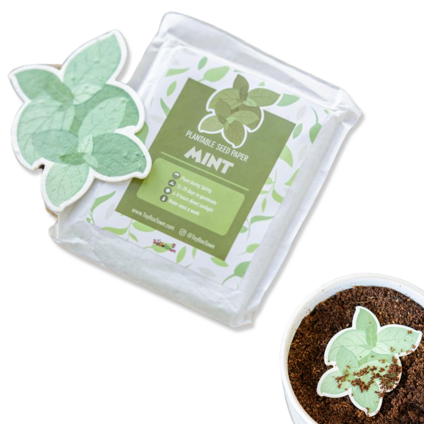 Mint Plantable Seed Paper