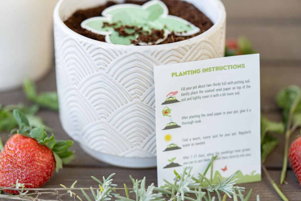 seed paper planting instructions Mint Plantable Seed Paper – ToyBoxTown