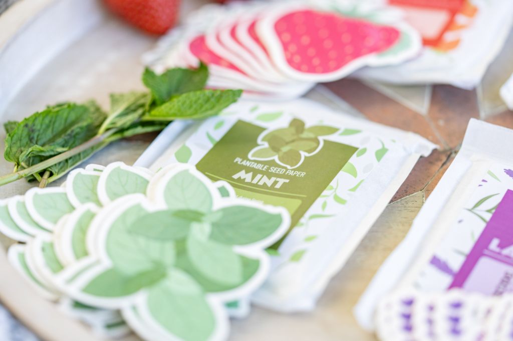 where to buy strawberry mint seeds Mint Plantable Seed Paper – ToyBoxTown