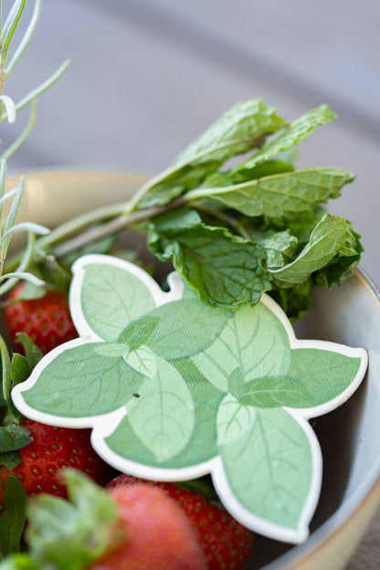 Mint Plantable Seed Paper